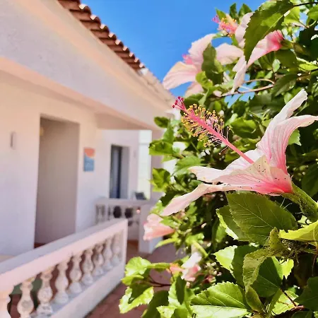 Charm Of The Algarve, Luxury Adults Only * Olhão