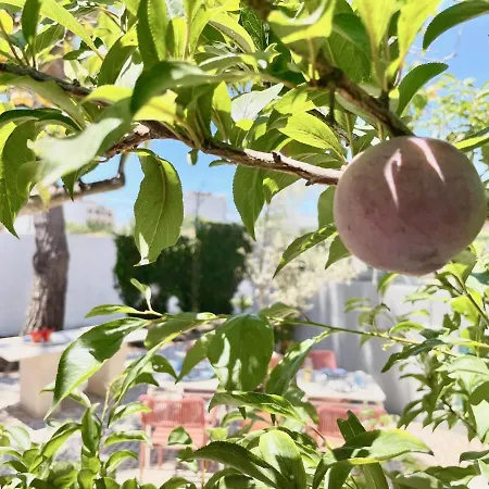 Hotel Charm Of The Algarve, Luxury Adults Only Olhão