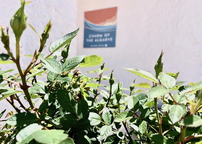 Charm Of The Algarve, Luxury Adults Only Hotel Olhão