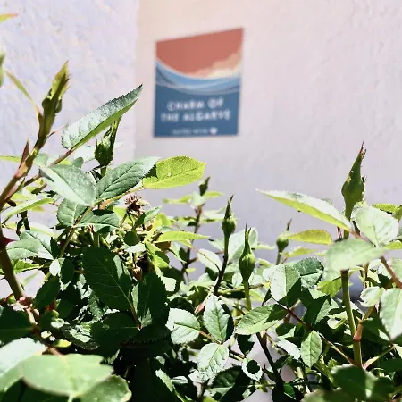 Charm Of The Algarve, Luxury Adults Only Affittacamere Olhão